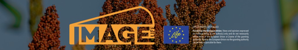 logo life image
